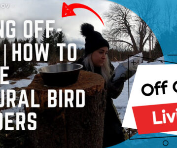 Living off-grid | How To Make Natural Bird Feeders