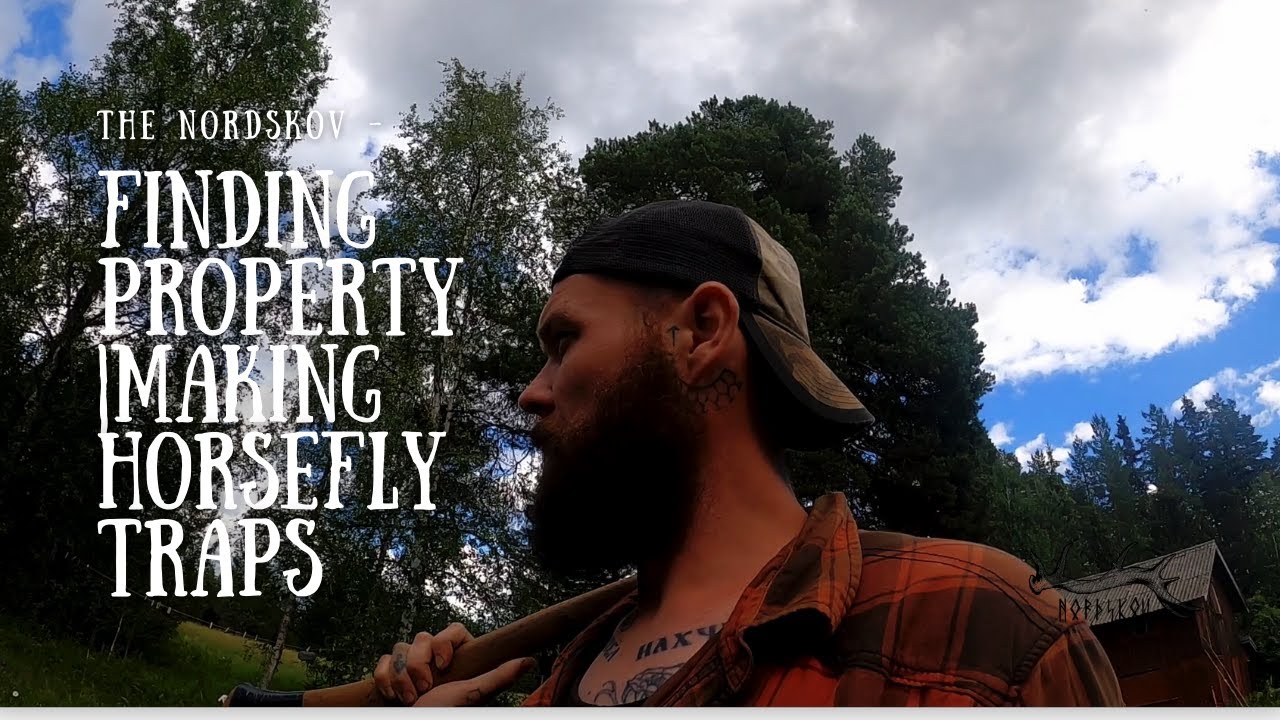 Finding property in Sweden | Making horsefly traps