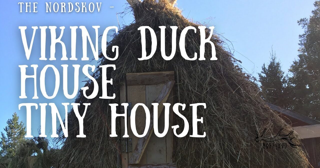 Viking Duck House | Tiny tiny house | Micro house |