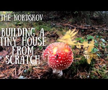 Building a tiny house from scratch | Life off grid in the wilderness