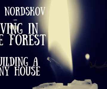 Living in the forest, Building a tiny house
