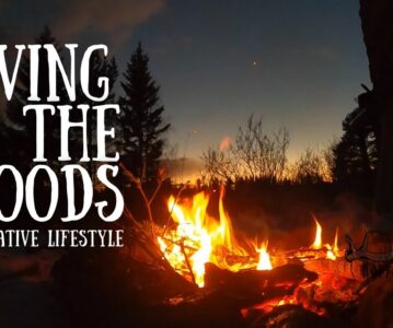 Living in the woods | Alternative lifestyle