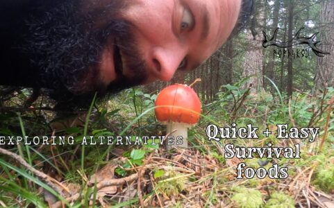 Exploring Quick and Easy Survival foods | Recipes and Wild food